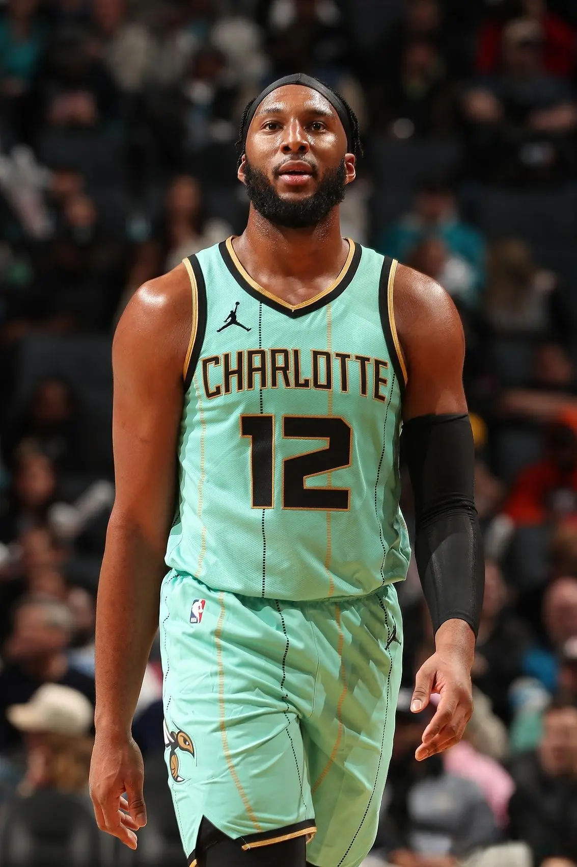 amp, 巨星的亏, 篮板