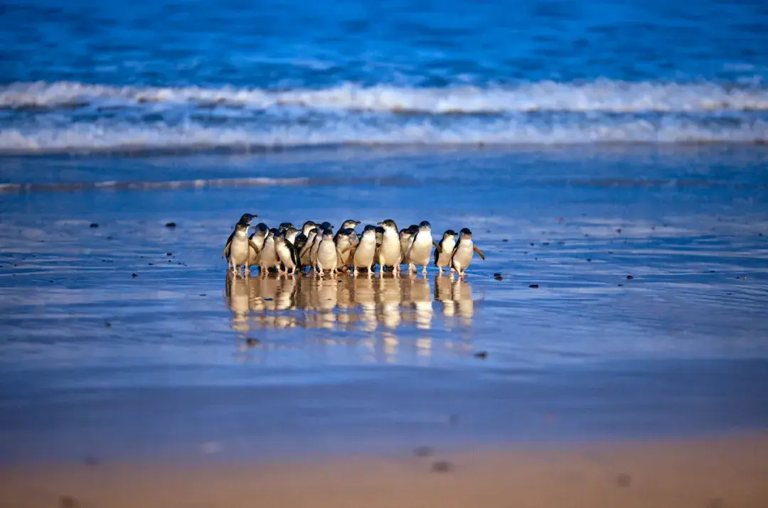 AA, 在奉贤区海 AA, 在奉贤区海